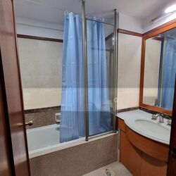 Parc Vista (D22), Condominium #504128671